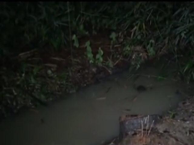Video An ninh - Tiền Giang: Nghi án giết người, vứt xác dưới mương nước