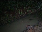 Video An ninh - Tiền Giang: Nghi án giết người, vứt xác dưới mương nước