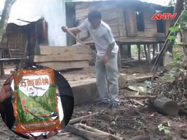 Thị trường - Tiêu dùng - Thương lái TQ dùng hóa chất thuê dân bắt giun