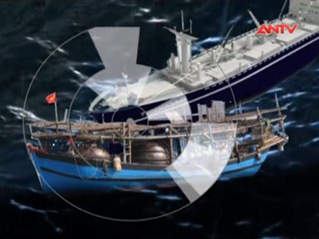 Video An ninh - Bình Định: Xác minh vụ tàu hàng đâm tàu cá rồi bỏ chạy