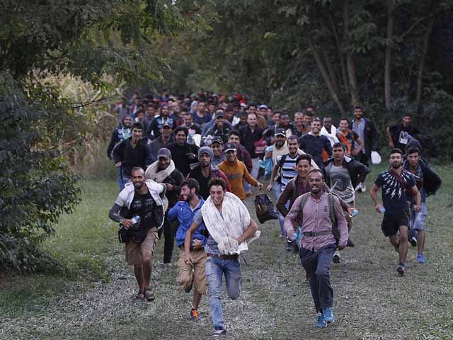 Tin tức trong ngày - Di dân hồ hởi vì Hungary mở lại biên giới với Serbia