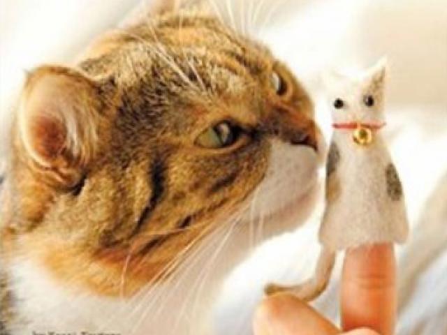 Phi thường - kỳ quặc - "Ngã ngửa" với những cuốn sách kì quặc nhất thế giới