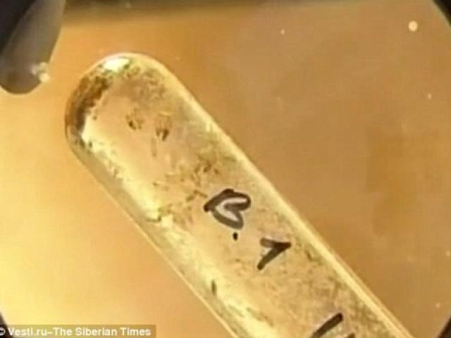 Sức khỏe đời sống - Tìm thấy loại vi khuẩn giúp con người trường sinh