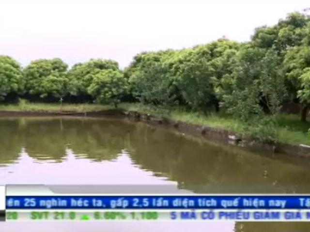 Kinh doanh - Bản tin tài chính kinh doanh 25/9: Nông dân gặp khó khi tiếp cận các khoản vay theo chính sách mới