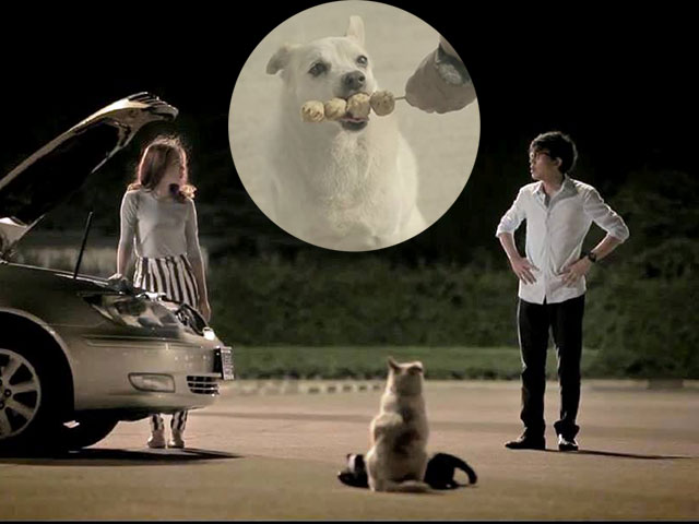 Bạn trẻ - Cuộc sống - Clip xúc động: Chú chó trả ơn người cứu đói