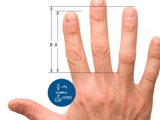 Độ dài của ngón tay nói gì về tính cách và sức khỏe của bạn?