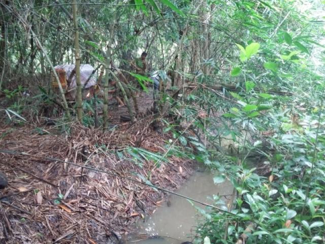 Hồ sơ vụ án - Giết người tình, vứt xác: Nghi can chỉ "yêu qua đường"