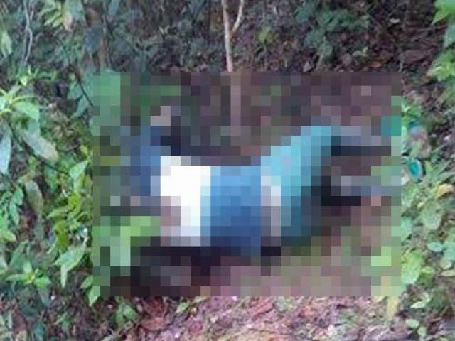 Tin tức trong ngày - Phát hiện thi thể người đàn ông đang phân hủy trên núi