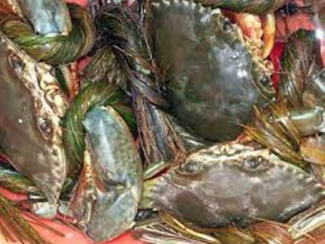 Thị trường - Tiêu dùng - Truy tìm nguồn gốc cua biển siêu rẻ bán tràn lan ở HN