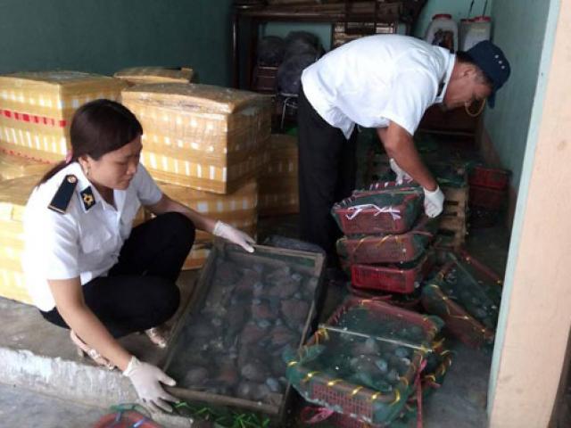 Thị trường - Tiêu dùng - Bắt xe khách chở nội tạng lợn thối ra miền bắc tiêu thụ