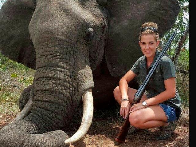 Bà mẹ Nam Phi giết động vật hoang dã để kiếm sống