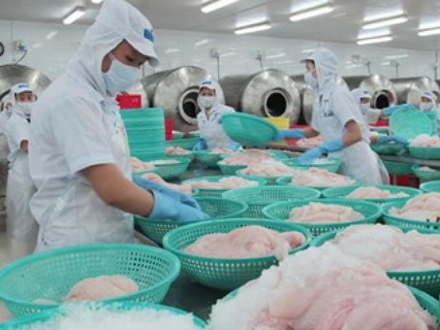 Thị trường - Tiêu dùng - Kiểm tra 100% lô hàng cá tra xuất khẩu sang Mỹ