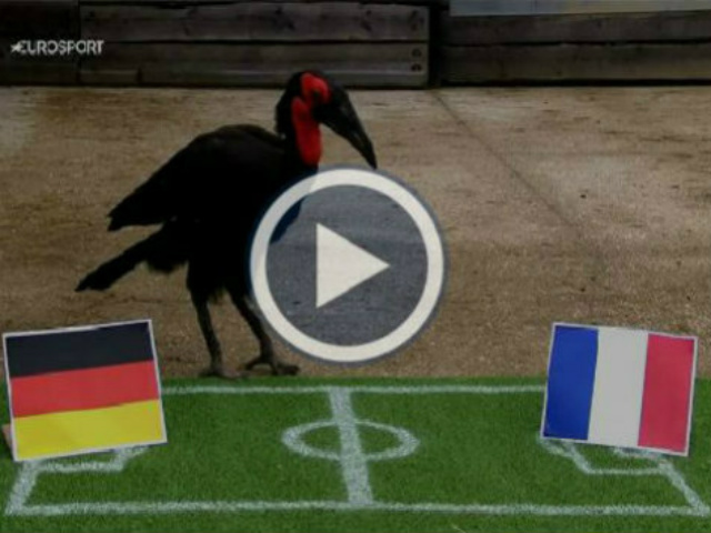 Bóng đá - "Nhà tiên tri" xuất sắc nhất Euro: Điềm may cho Pháp