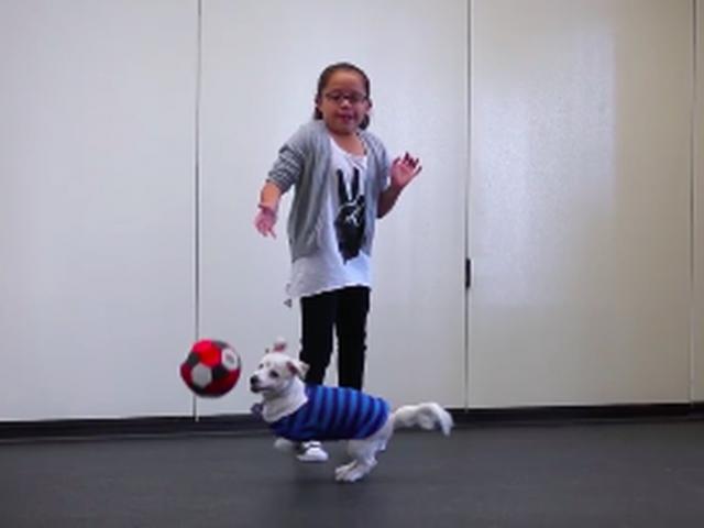 Thế giới - Mỹ: Bé gái 10 tuổi dạy chú chó điếc ngôn ngữ cử chỉ