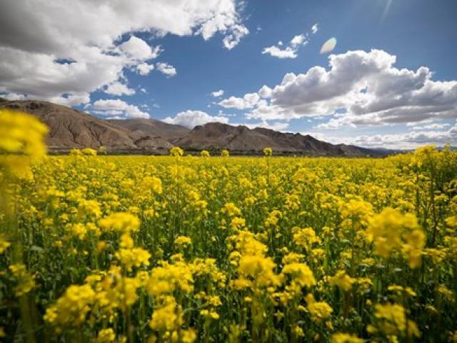 Du lịch - Tây Tạng đẹp mê hồn qua bộ ảnh của nhiếp ảnh gia Việt