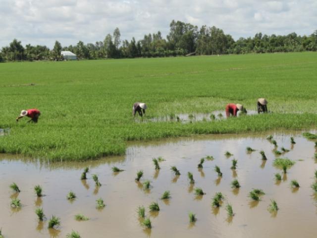 Tin tức trong ngày - ĐBSCL khốn khó vì Trung Quốc biến Mekong thành của riêng