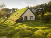 Thế giới - Những ngôi nhà mái cỏ đẹp như tranh vẽ ở Iceland