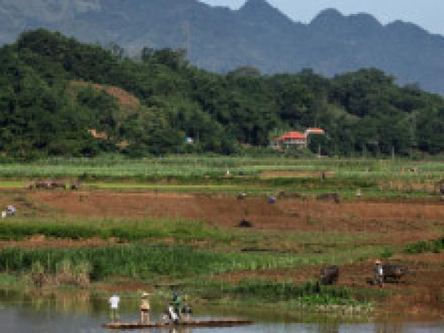 Tài chính - Bất động sản - Hàng loạt công ty nông, lâm nghiệp thua lỗ ngàn tỉ đồng