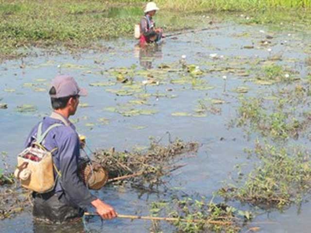 Tin tức trong ngày - Vượt biên bắt cá, 3 người bị bắn thương vong