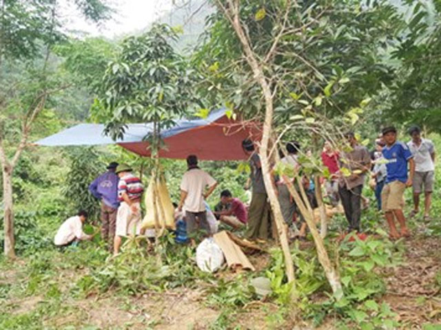 Tin tức trong ngày - Lên rẫy tự tử sau khi được bác sĩ khuyên bỏ rượu bia