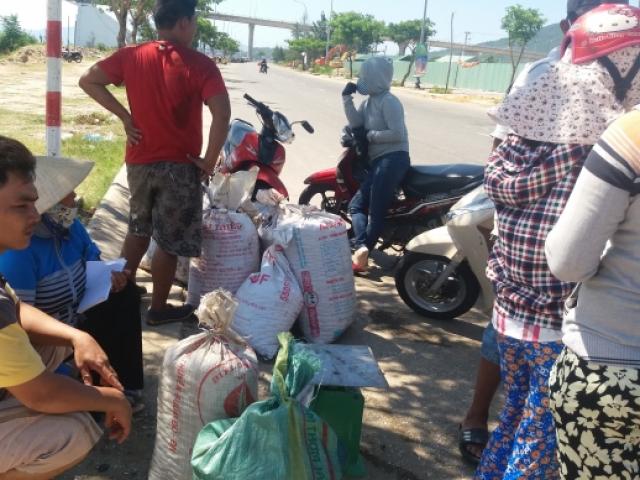 Thị trường - Tiêu dùng - Ngư dân "bỏ biển", đổ xô lặn chíp chíp bán sang TQ