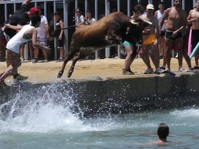 Thể thao - Cạn lời: Chán đấu bò trên cạn, lôi bò xuống nước