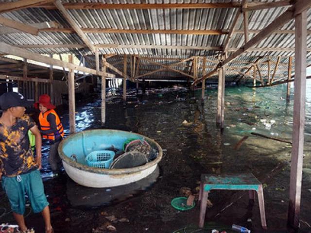 Tin tức trong ngày - Nguyên nhân ban đầu gây sập nhà hàng nổi ở Ninh Thuận