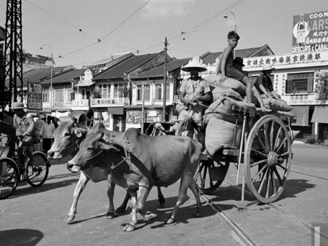 Thế giới - Hội Tam Hoàng: Một thời vùng vẫy trên đất Việt