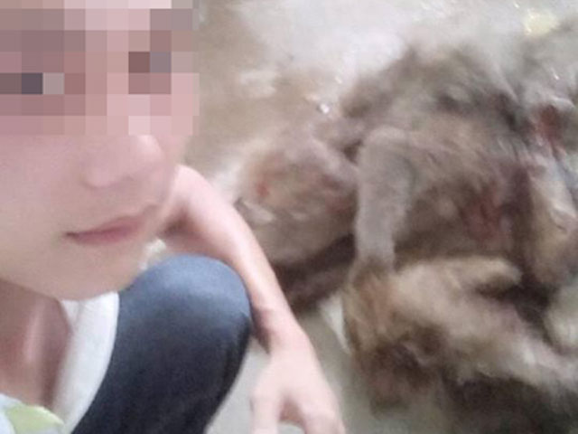 Tin tức trong ngày - Nam thanh niên khoe "chiến tích" giết khỉ lên mạng xã hội