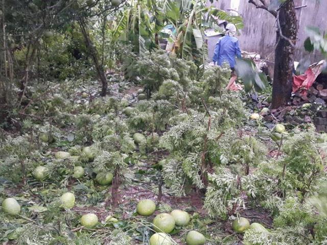 Tin tức trong ngày - Bão số 1 càn quét, các tỉnh ven biển miền Bắc thiệt hại nặng nề