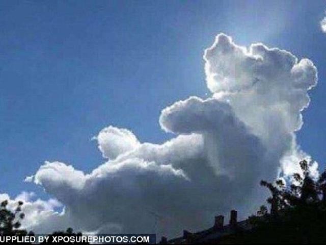 Phi thường - kỳ quặc - Đám mây giống hệt chú gấu nằm ngửa trên bầu trời