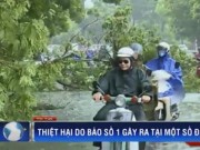 Video An ninh - Thống kê thiệt hại do bão số 1 ở miền Bắc