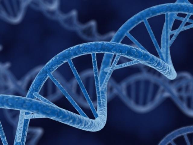 Thế giới - Mối họa khi tóc, nước bọt của bạn lọt vào tay kẻ xấu