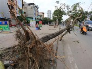 Tin tức trong ngày - Giông lốc khủng khiếp, cây bật gốc đè chết bé trai