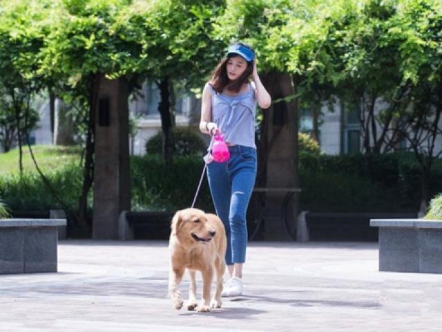 Bạn trẻ - Cuộc sống - Nữ sinh kiếm bộn tiền nhờ nghề dắt chó thuê