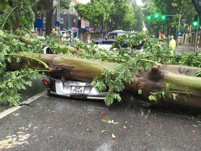 Việt Nam còn hứng chịu bao nhiêu cơn bão trong năm nay?