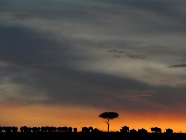 Thế giới - Hướng dẫn viên TQ đâm chết du khách vì tranh bàn ăn