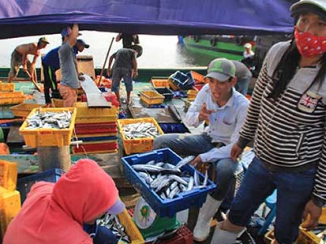 Thị trường - Tiêu dùng - Sức mua tại miền Trung giảm, người kinh doanh lo