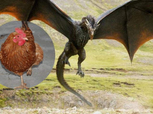 Phim - Sự thật kỹ xảo biến gà hóa rồng phim “nghẽn sóng HBO”