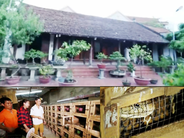 Du lịch - Thử thách lòng gan dạ ở làng có hàng ngàn con rắn độc