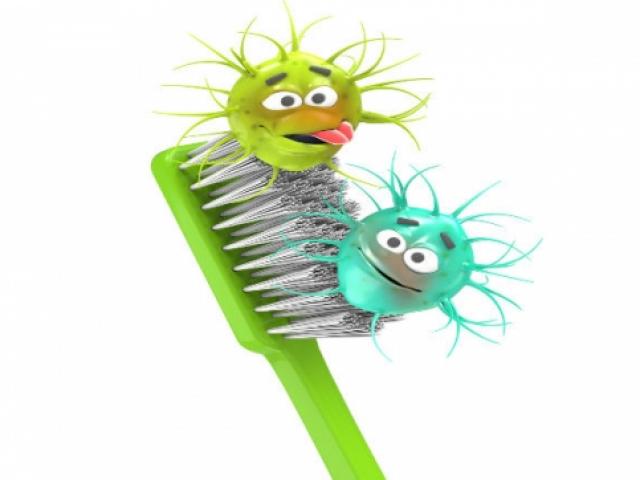 Sức khỏe đời sống - Sự thật đáng sợ về chiếc bàn chải đánh răng của bạn