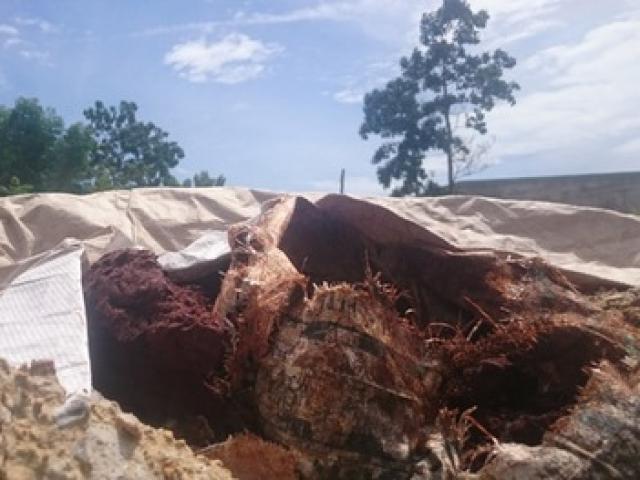 Tin tức trong ngày - Bao bì chất thải chôn ở Đà Nẵng có ghi chữ Formosa