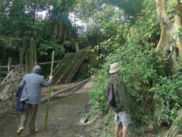 Thị trường - Tiêu dùng - Thương lái Trung Quốc tung chiêu, nông dân lãnh đủ