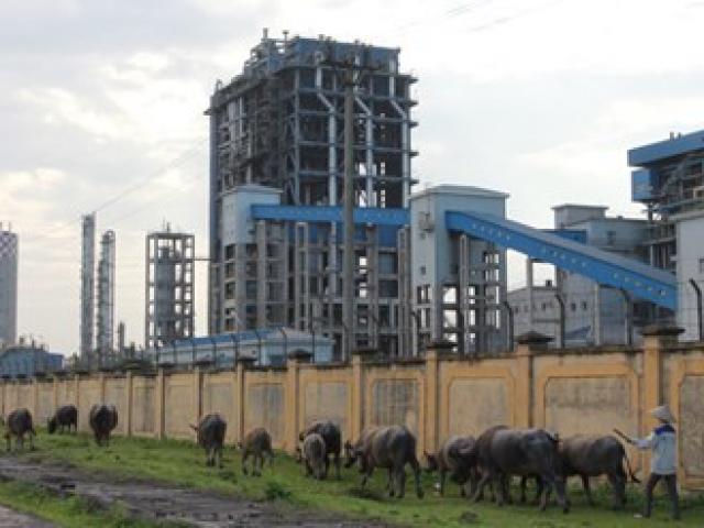 Thị trường - Tiêu dùng - Đạm Ninh Bình gồng mình trả nợ Trung Quốc