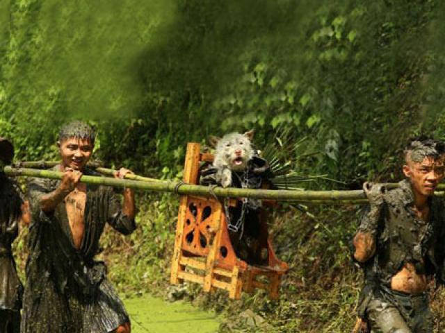 Du lịch - Lạ lẫm lễ hội người rước chó ngồi kiệu như ông hoàng