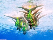 Chiêm ngưỡng những vũ điệu dưới nước tuyệt đẹp tại Olympic Rio