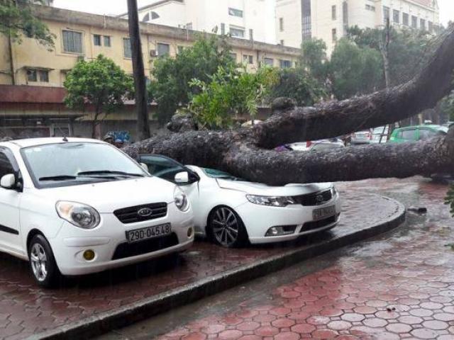 Tin tức trong ngày - Bão Thần Sét khiến 5 người thương vong, mất tích