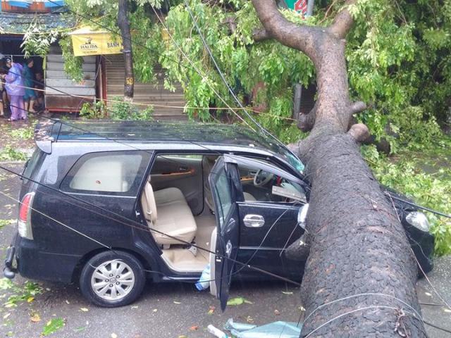 Tin tức trong ngày - Mưa bão, có nên cho người lao động nghỉ làm?