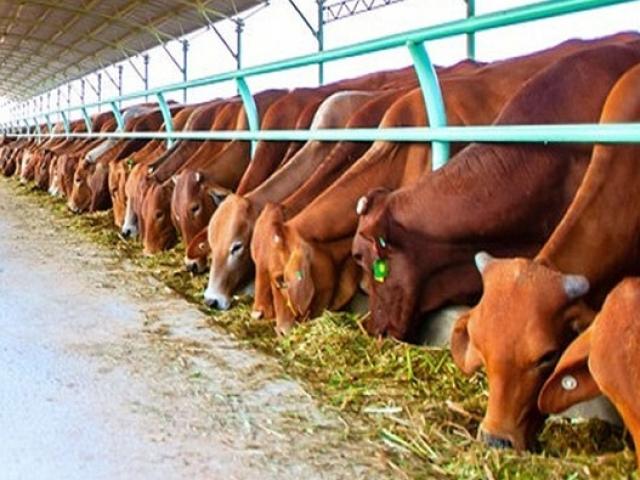 Tài chính - Bất động sản - Công ty của “bầu” Đức lỗ 500 tỷ đồng