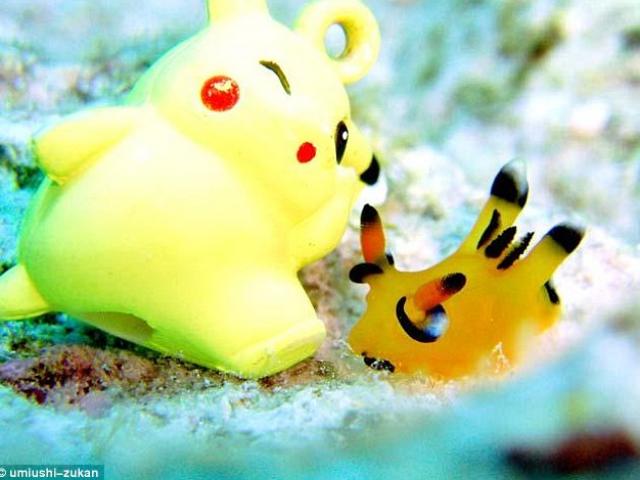 Phi thường - kỳ quặc - Sinh vật giống Pokémon gây sốt ở Nhật Bản